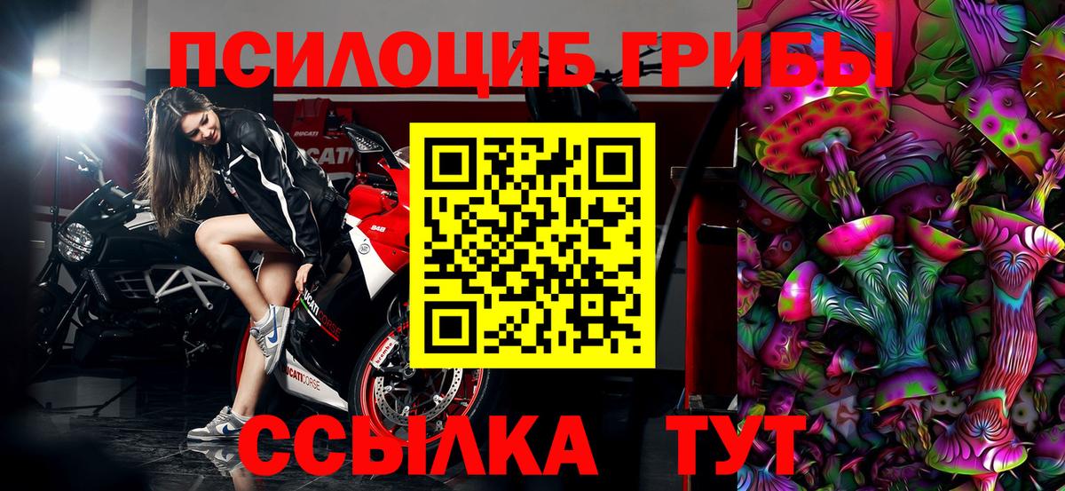 Галлюциногенные грибы Cubensis Тейково